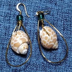 Sea Shell Hoop Earrings